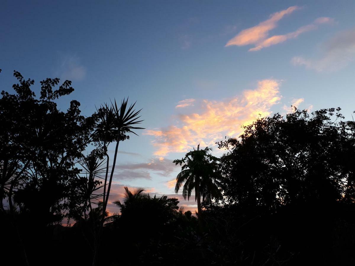 Villa Del Carmen Haven Bohol Екстер'єр фото