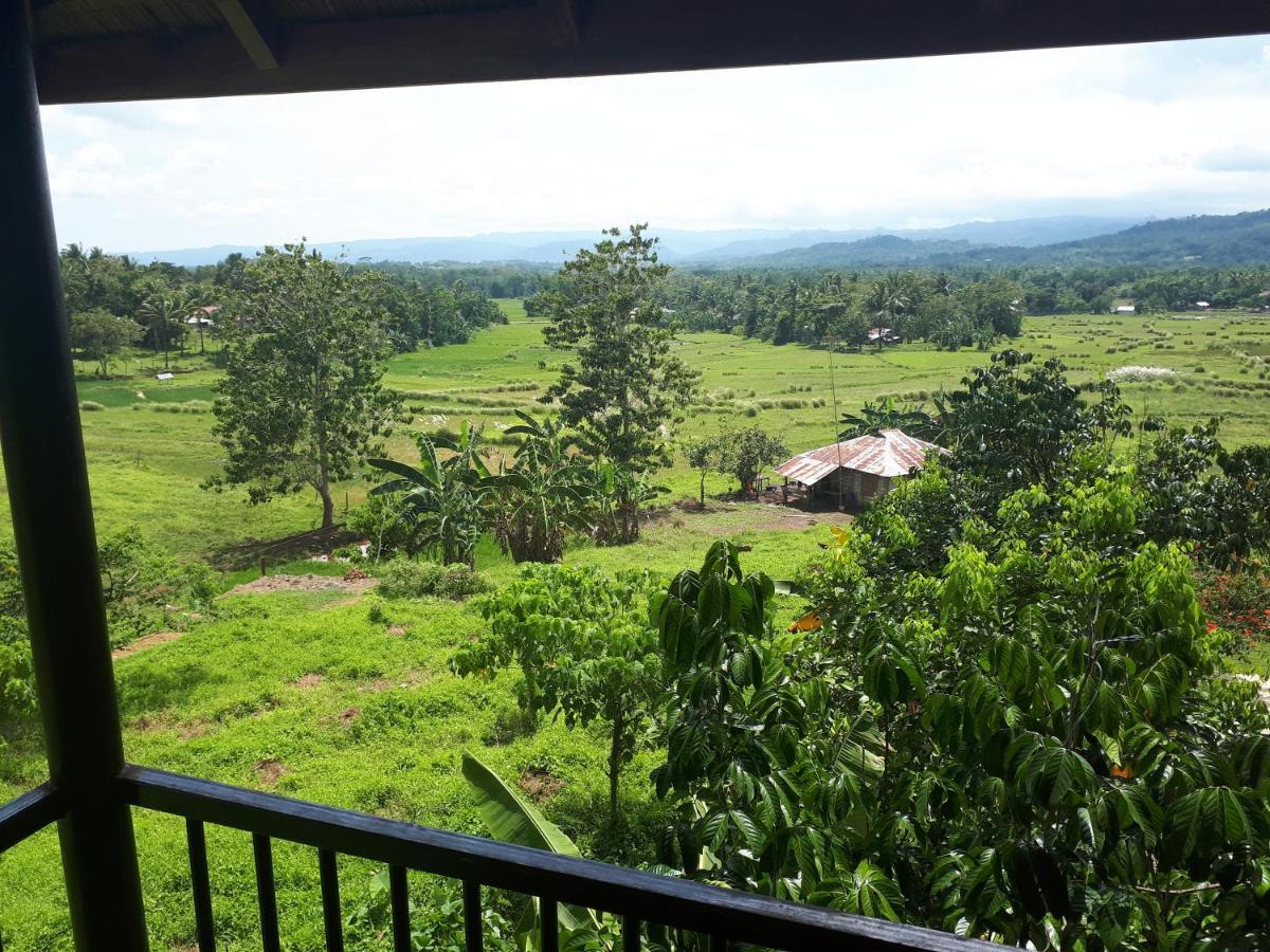 Villa Del Carmen Haven Bohol Екстер'єр фото