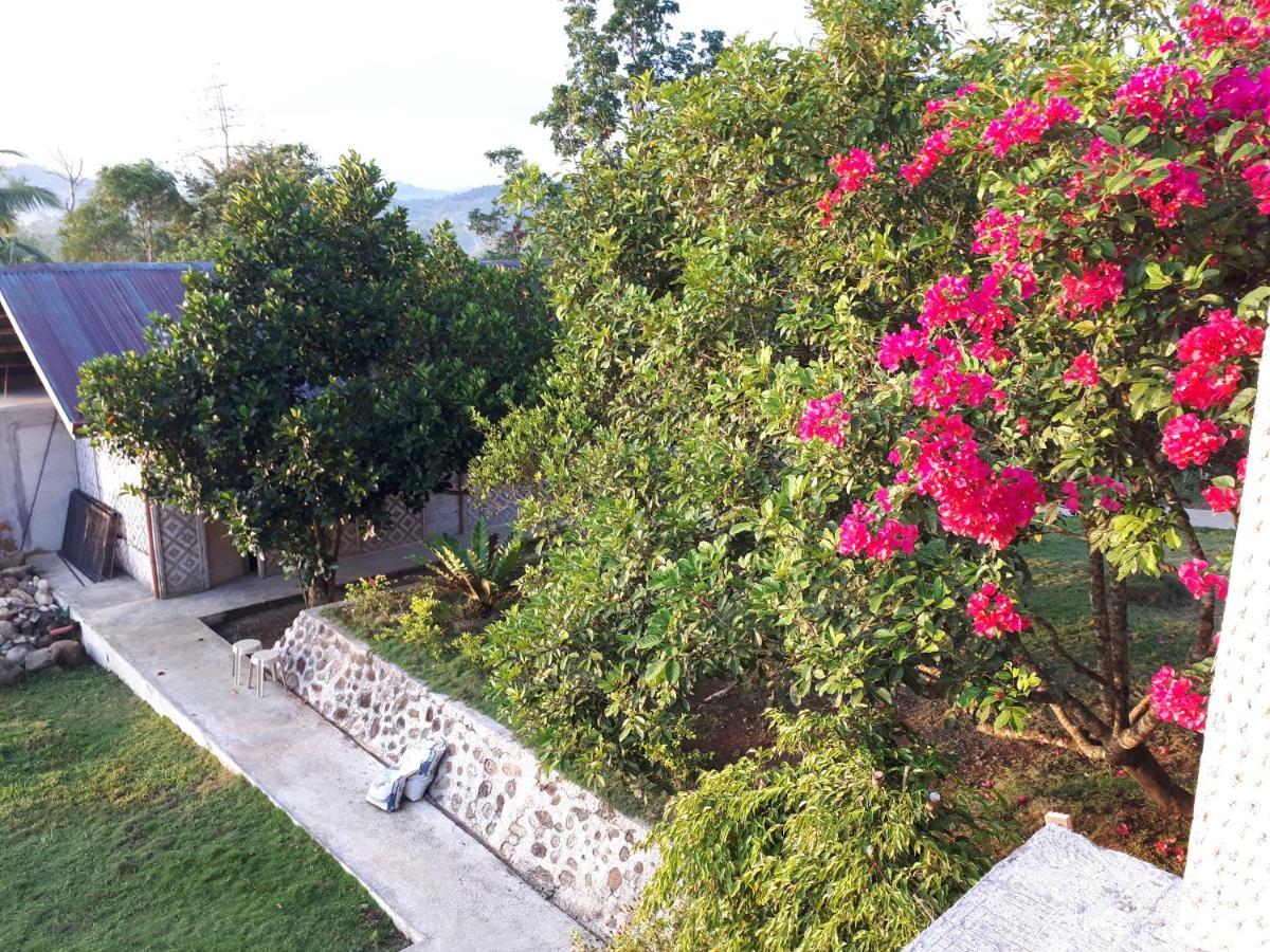 Villa Del Carmen Haven Bohol Екстер'єр фото
