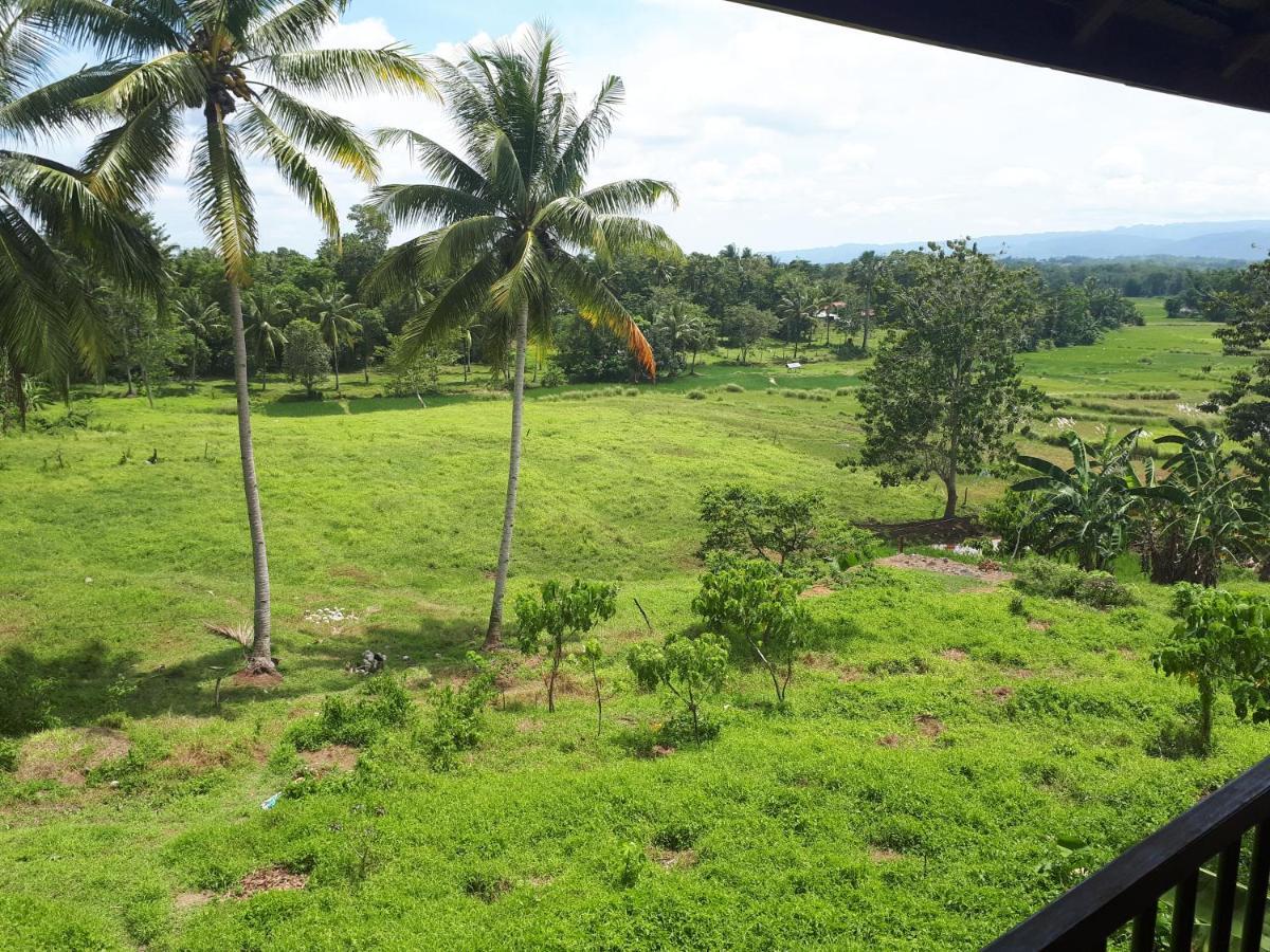 Villa Del Carmen Haven Bohol Екстер'єр фото