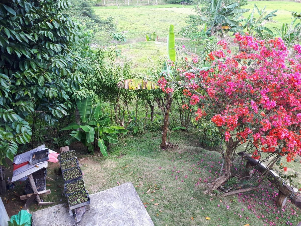 Villa Del Carmen Haven Bohol Екстер'єр фото